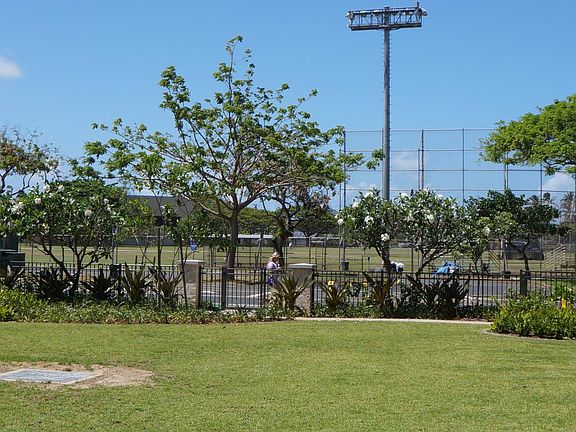 Kailua Park view from unit