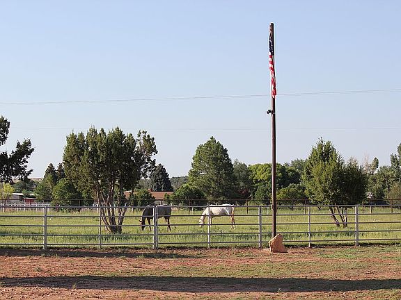Front pasture from property