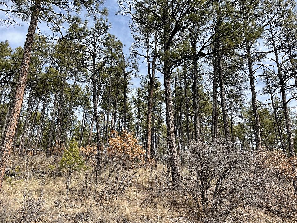 1st image of 43 Arapaho