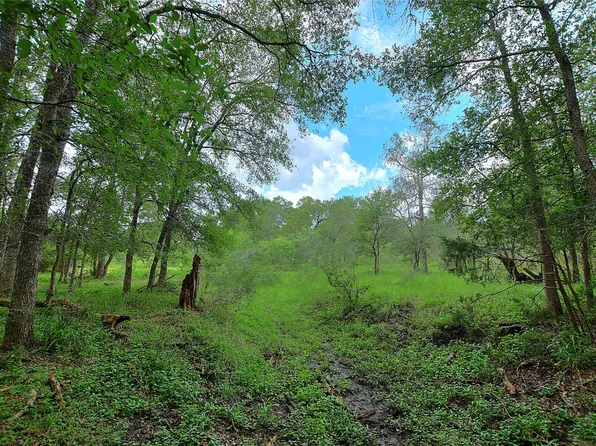 Whitworth Ln, Bastrop, TX 78602