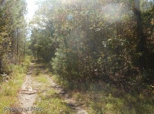 8 McLean Chapel Church Rd, Bunnlevel, NC 28323