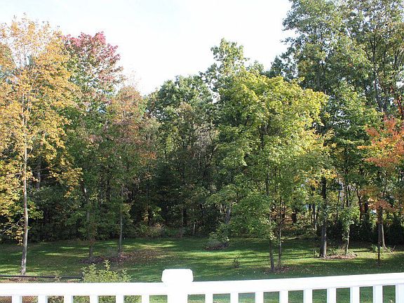 Almost an acre of land for awesome outdoor fun!