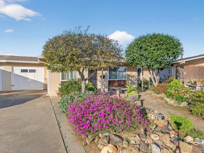 8 Carita Ct, Watsonville, CA, 95076