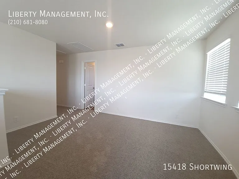 15418 Shortwing — Photo 15