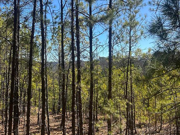 5th image of 0-00M Walnut Valley Rd