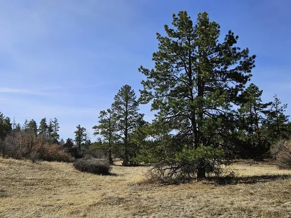 338 Rancho La Marina, Weston, CO 81091