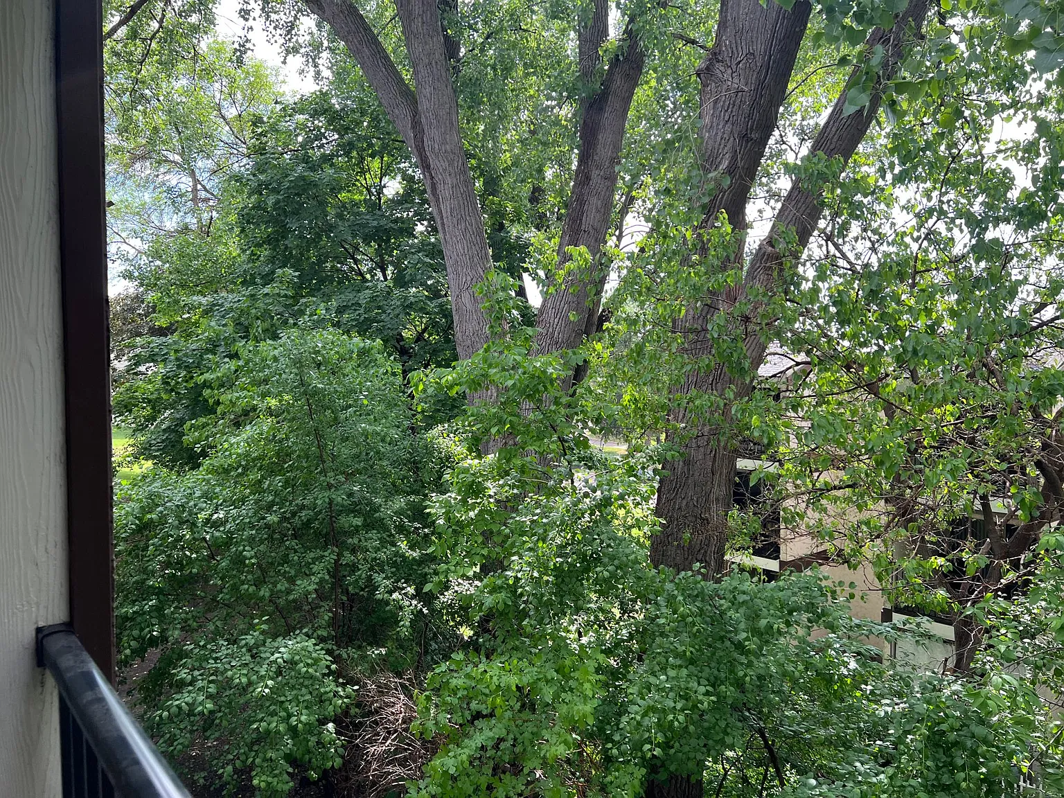 Nicollet Ave, Burnsville — Photo 4