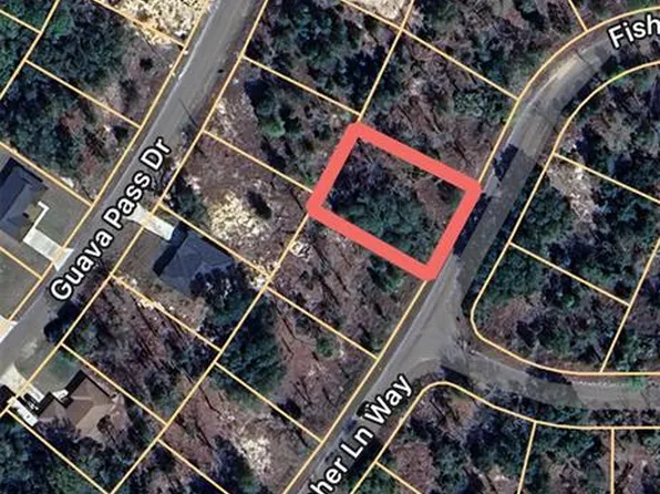 Fisher Lane Way Lot 22, Ocklawaha, FL 32179