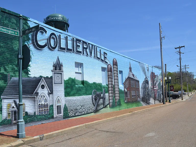 Carrington at Schilling Farms — Photo 21