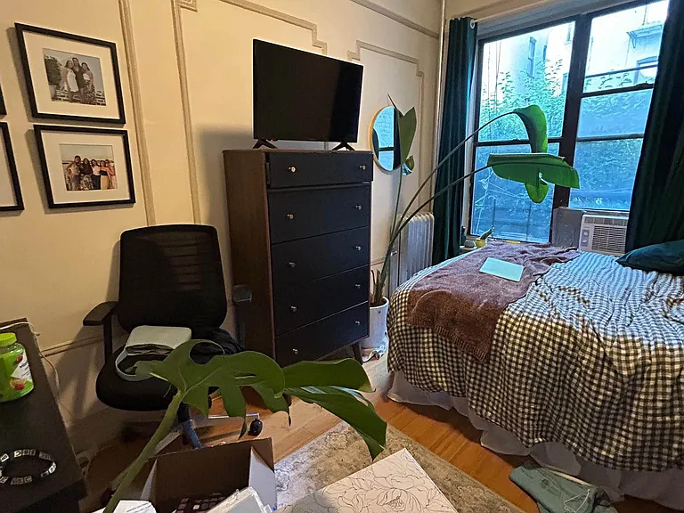 308 Saint Johns Pl #3L — Photo 10