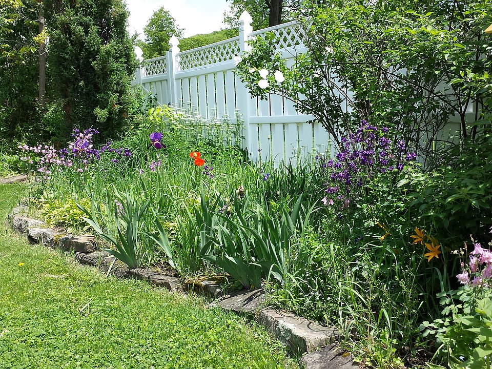 side of backyard