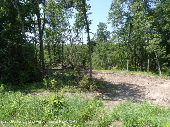 0 S Lacey Lake Rd, Bellevue, MI 49021