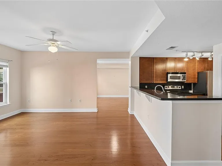 230 E Ponce De Leon Ave #221 — Photo 4