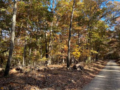 0 Edwards Rd TRACT 1, Demorest, GA, 30535