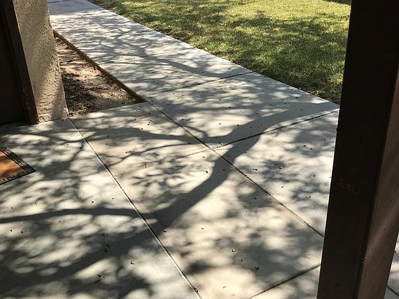 Taken from front door