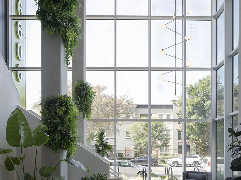 Vert — Photo 11