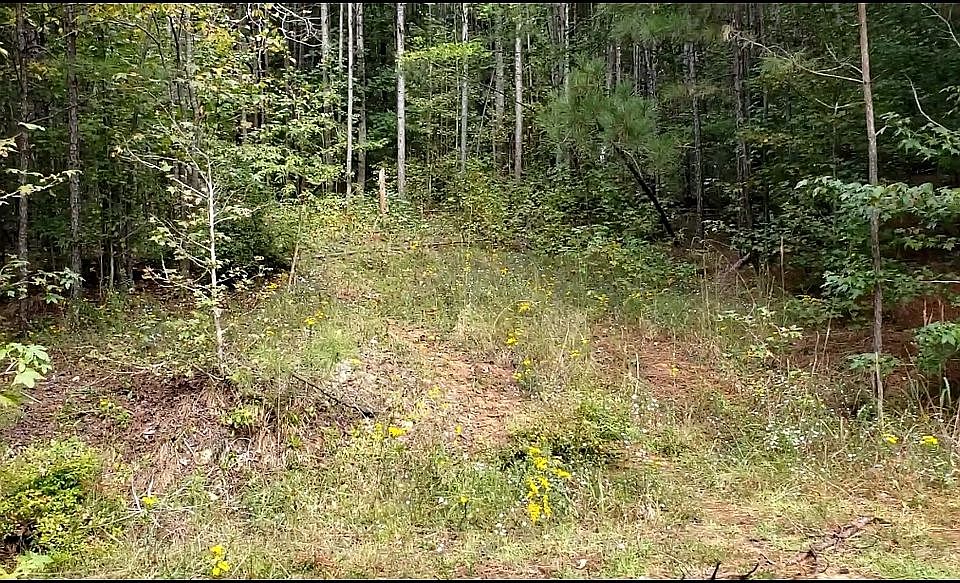 1st image of 2871 Caboose Ct