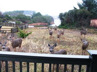 376 Cockle St SW, Ocean Shores, WA 98569