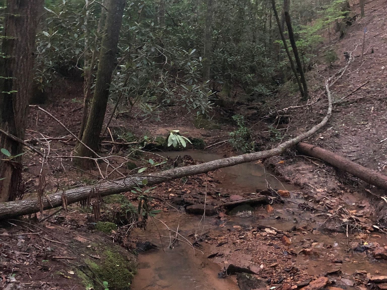 LOT 10 Etowah Dr, Dahlonega, GA 30533 Zillow