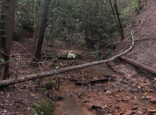 LOT 10 Etowah Dr, Dahlonega, GA 30533