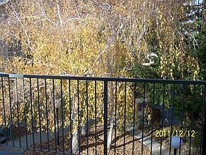 2nd image of 2358 Alta Garden Ln