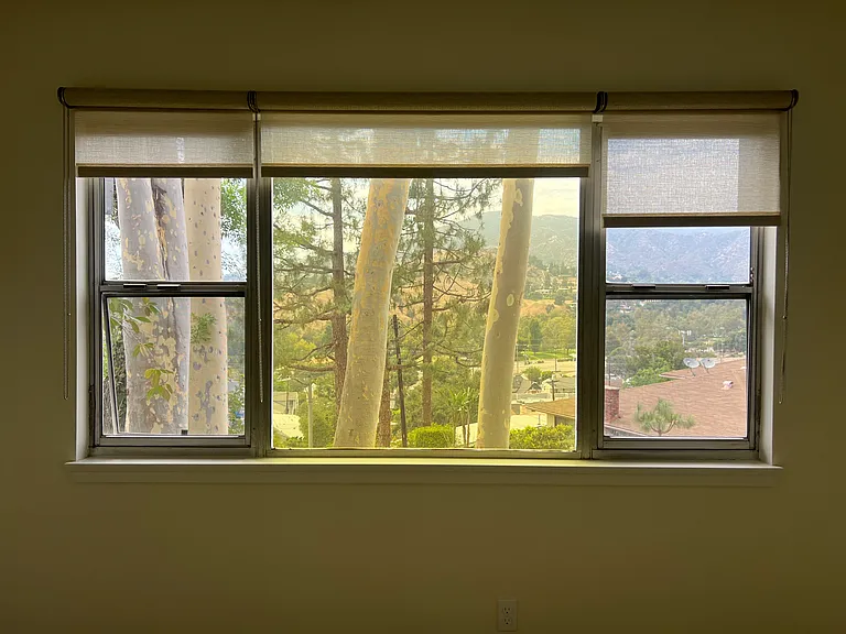VIEW FROM MASTER BEDROOM
