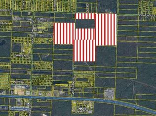 Chat Holly Rd, Santa Rosa Beach, FL 32459