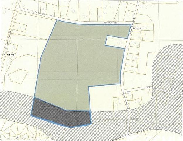 2nd image of TBD McNeil Chapel Rd. #70.52 Acre