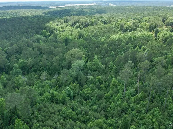 0 Hopewell Rd, Vance, AL 35490