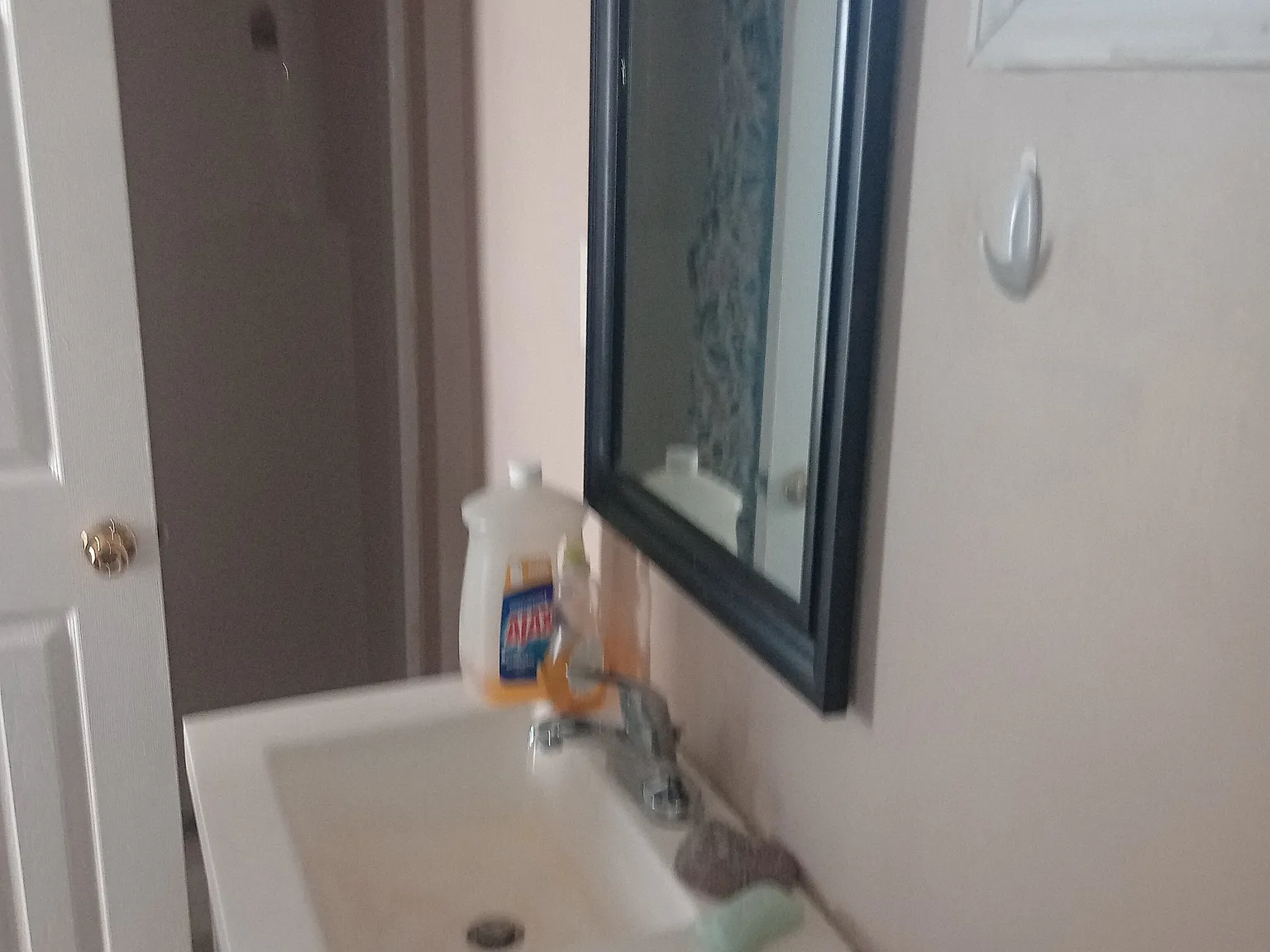 Studio, 300 sqft, $1,000 — Photo 2