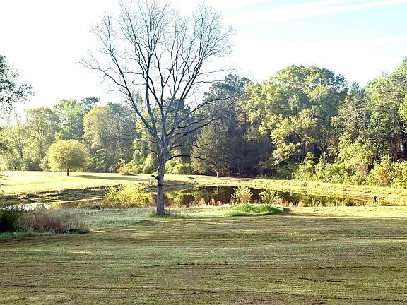 3rd image of 18392 George Mims Rd