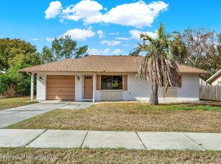 5461 Colchester Ave, Spring Hill, FL 34608