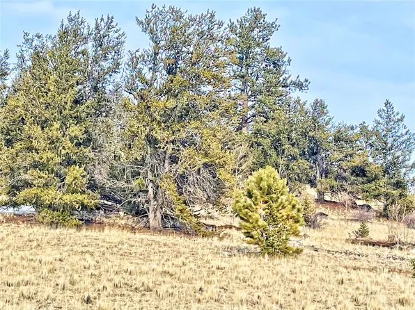160 Breech Trail, Como, CO 80432