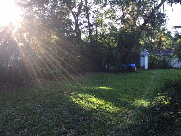 Side Yard