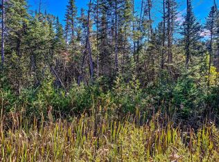 Nhn E Townline Lake Rd, Harrison, MI 48625