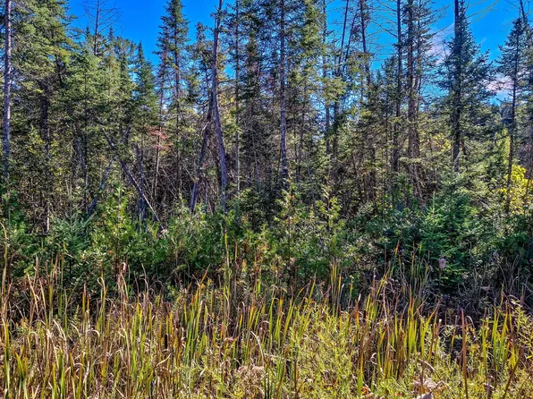 Nhn E Townline Lake Rd, Harrison, MI 48625