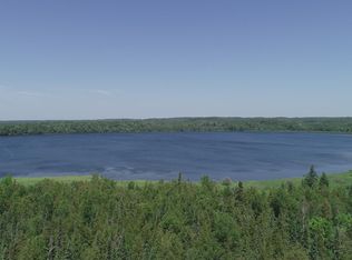 Tbd Rush Island Lake Rd, Deer River, MN 56636