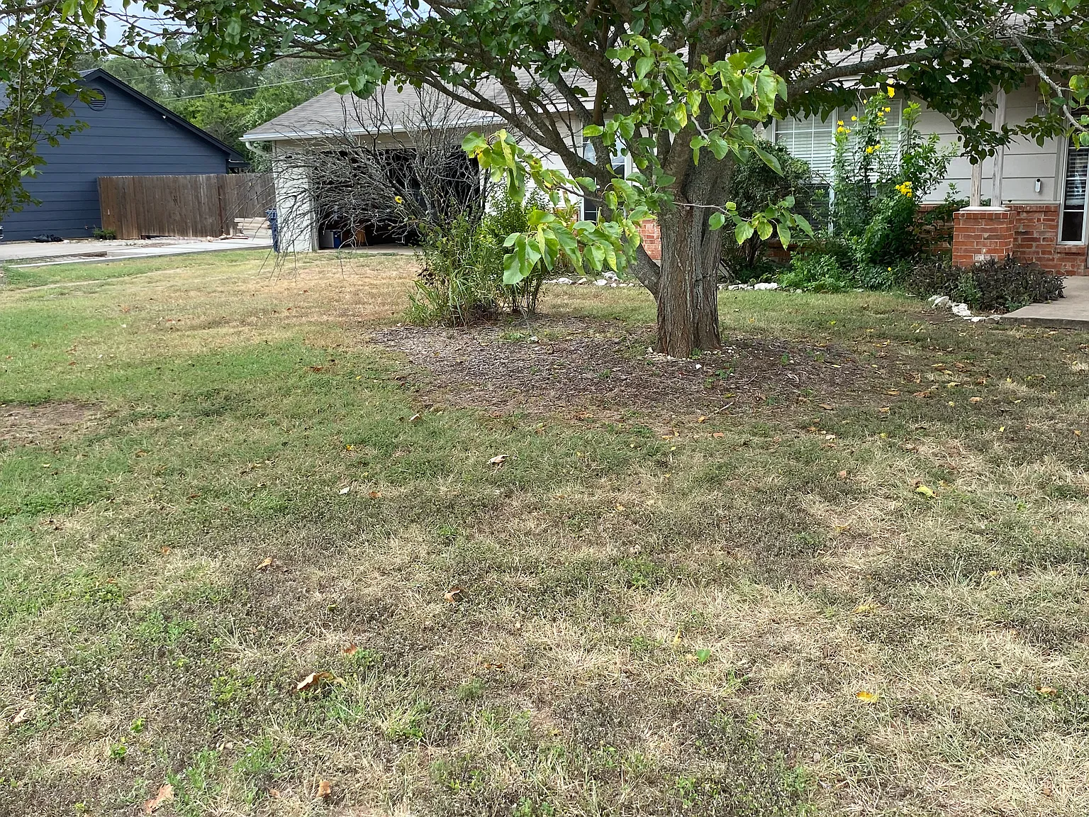 3 bed, 1262 sqft, $1,850 — Photo 3