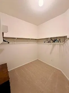 3701 Canaan Matthew Dr — Photo 17