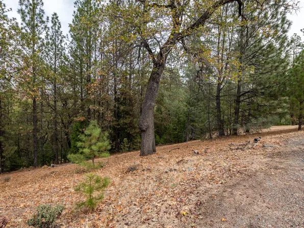 124-23771 Darkhorse Dr, Auburn, CA 95602