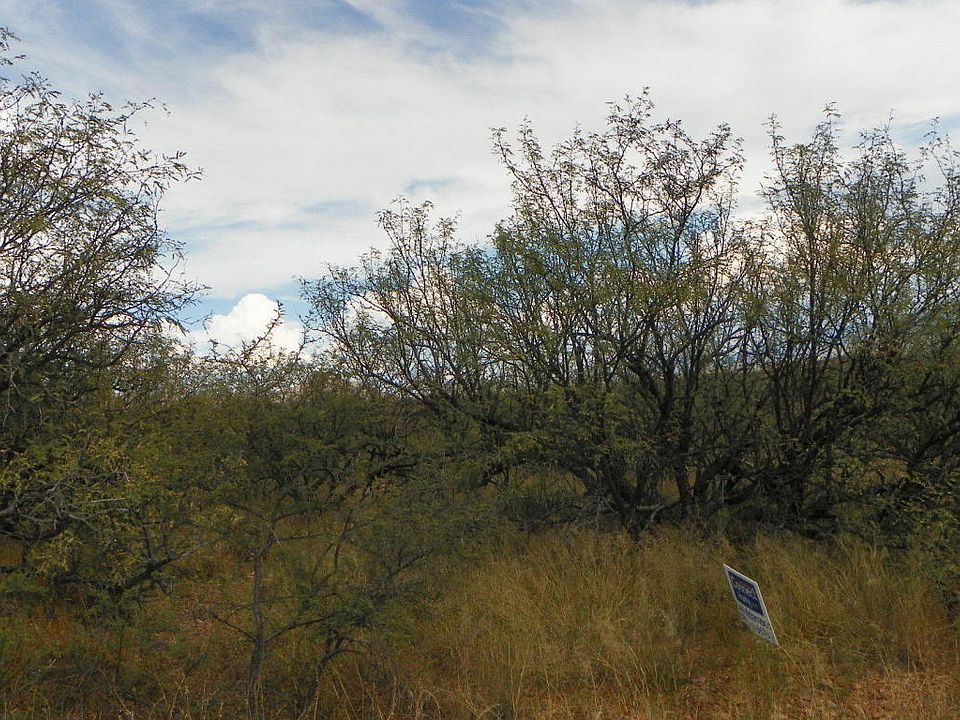 2nd image of 1239 Calle Reinaldo