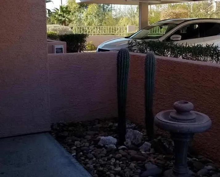 1650 Smoketree Ave S #157 — Photo 8