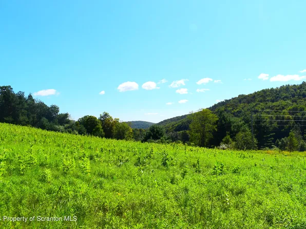1477 Silver Creek Rd, Montrose, PA 18801