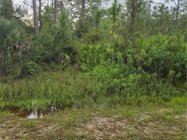 2303 Truman Ave, Alva, FL 33920