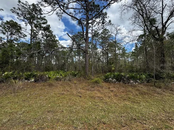 SE 128th Ave Lot 28, Dunnellon, FL 34431