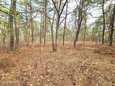 22 Pinewood Drive, Little Egg Harbor, NJ, 08087
