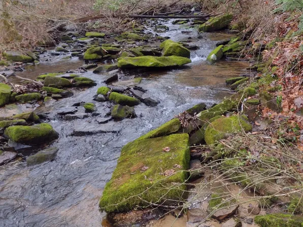 0 State Route 108, Altamont, TN 37301