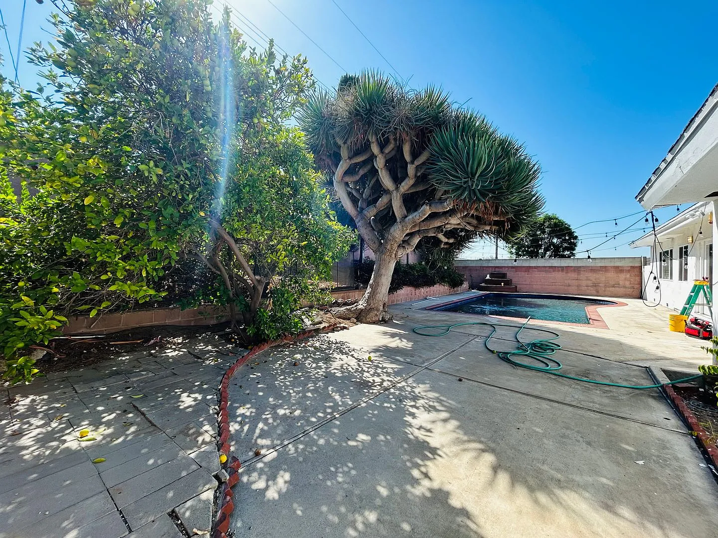 Spacious Four Bedroom Home In Ladera Heights — Photo 3