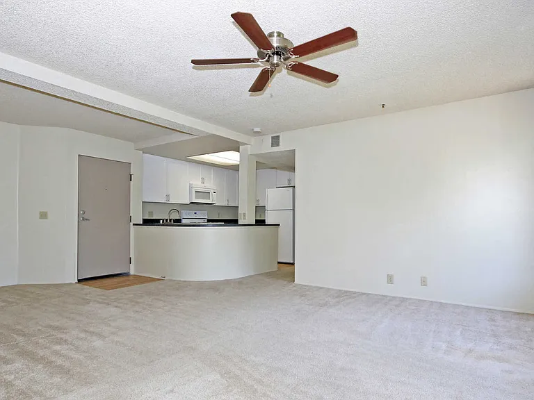 Living and Dining Room