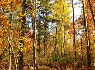 Xxx Horstman Rd, Delta, WI 54856